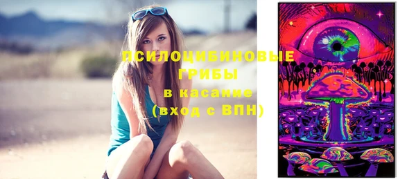 мдпв Магас