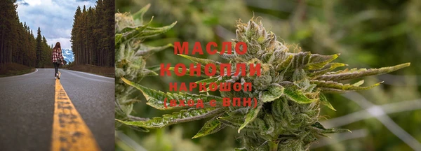 прущие грибы Магадан