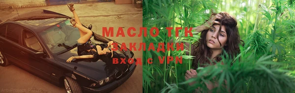 прущие грибы Магадан