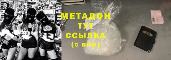 прущие грибы Магадан
