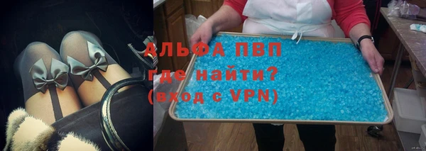 прущие грибы Магадан