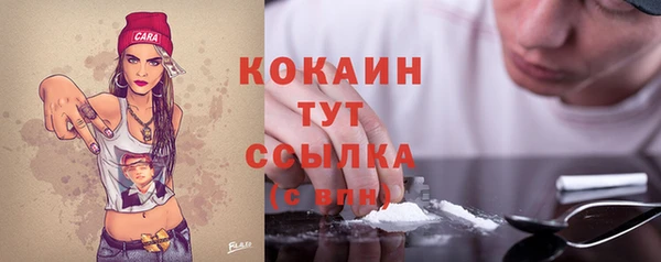 прущие грибы Магадан