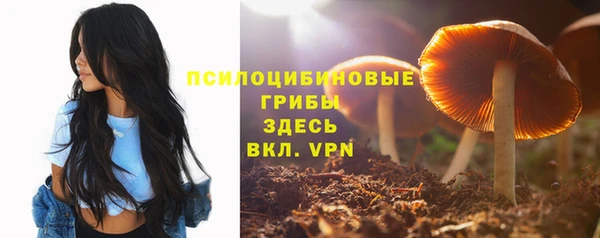 мдпв Магас