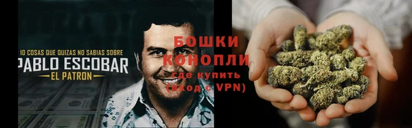 мдпв Магас