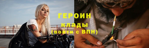 прущие грибы Магадан