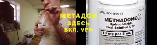 прущие грибы Магадан