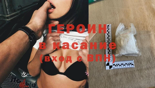прущие грибы Магадан