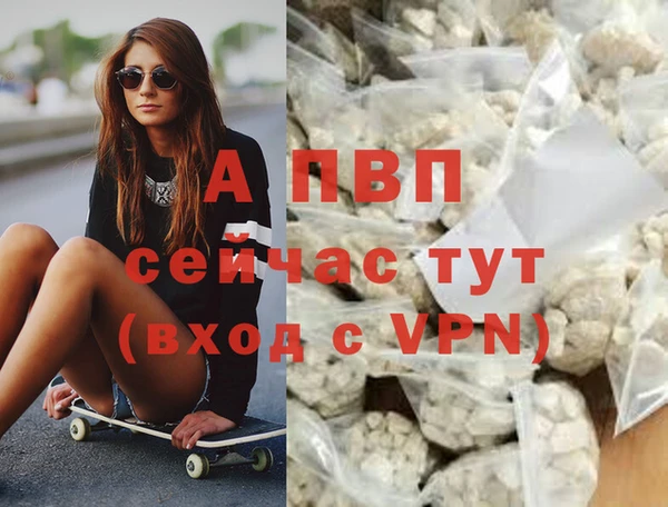 мдпв Магас