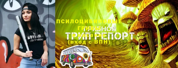 мдпв Магас