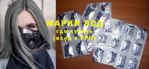 мдпв Магас
