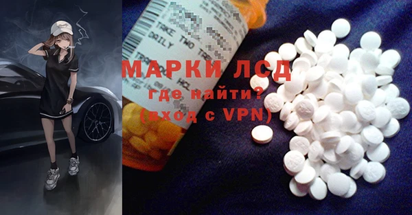 прущие грибы Магадан