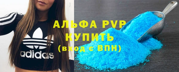 прущие грибы Магадан