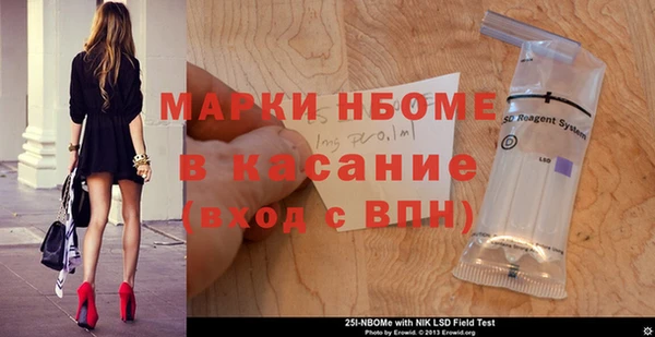 прущие грибы Магадан