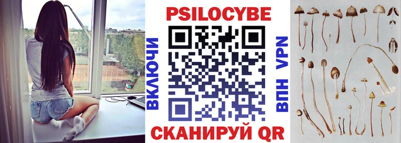 Псилоцибиновые грибы мухоморы  Купить где  Щигры 